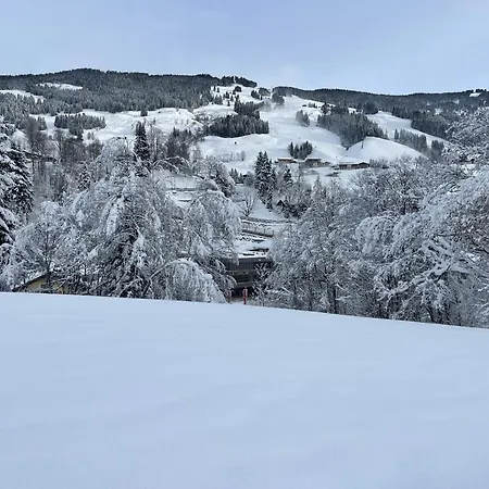 Appartement Chalet Saalbach Apartment *